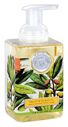 Michel Design Works Honey Almond Foaming Hand Soap with Soap Dispenser