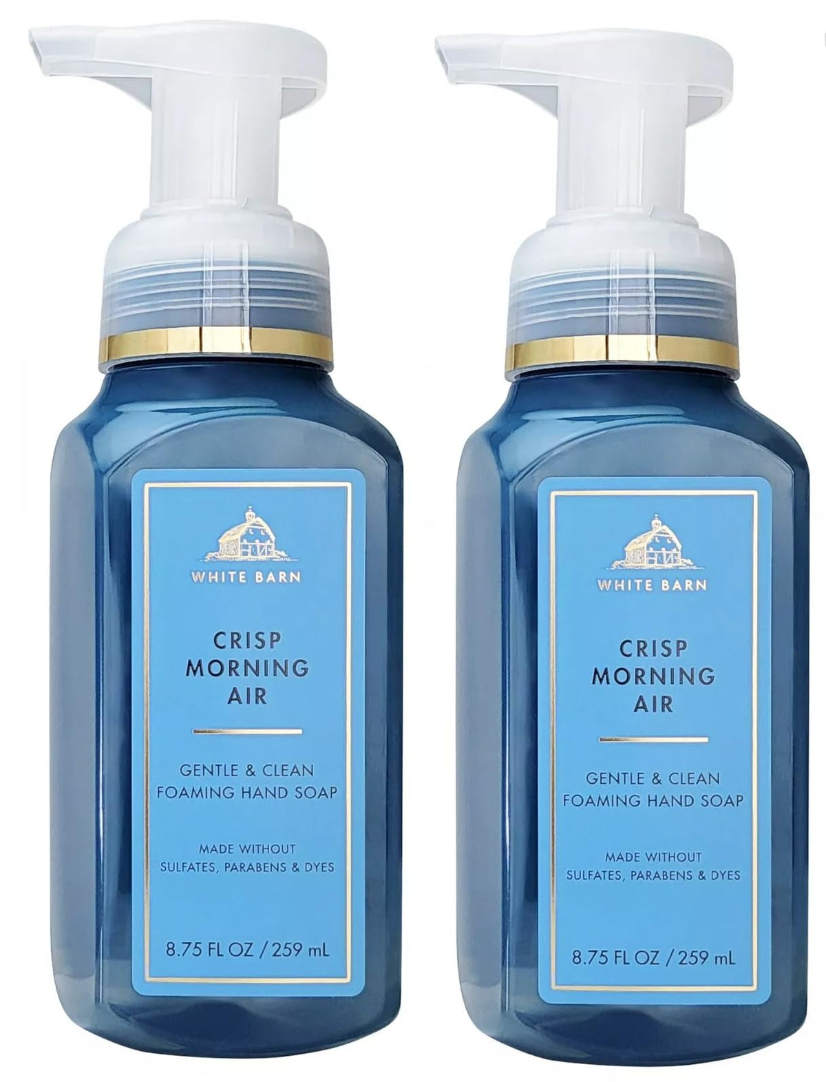 Bath and Body Works Gentle Foaming Hand Soap Kitchen Basics - Cozy Vanilla Almond, Crisp Morning Air, Mahogany Teakwood, Champagne Toast, White Tea and Sage, 8.75, Pack of 5