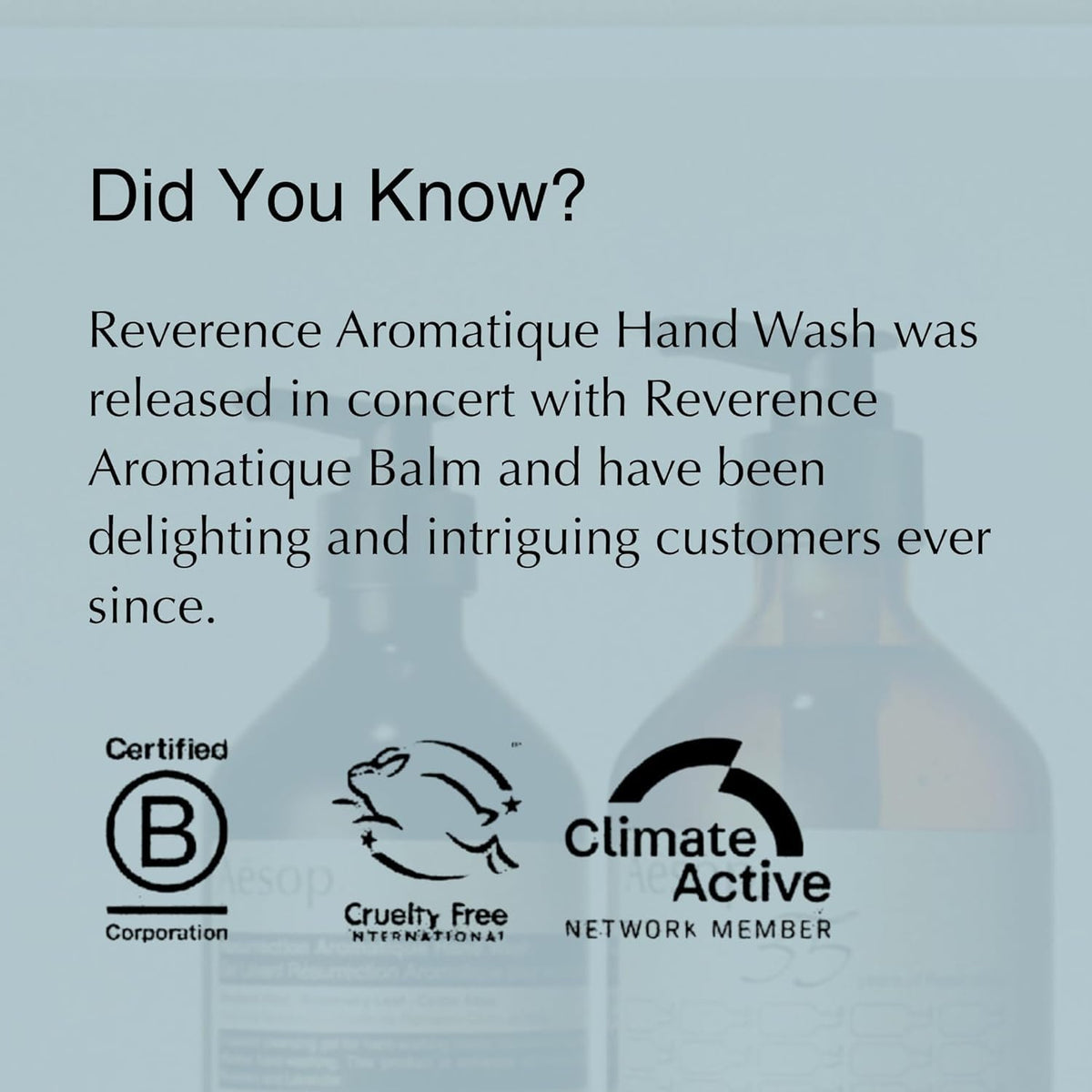 Aesop Reverence Aromatique Exfoliating Hand Wash | Exfoliating Hand Soap with Finely Milled Pumice | Gentle Cleanser & Skin-Smoothing Formula with Vetiver, Petitgrain & Bergamot | 500mL / 16.9 oz