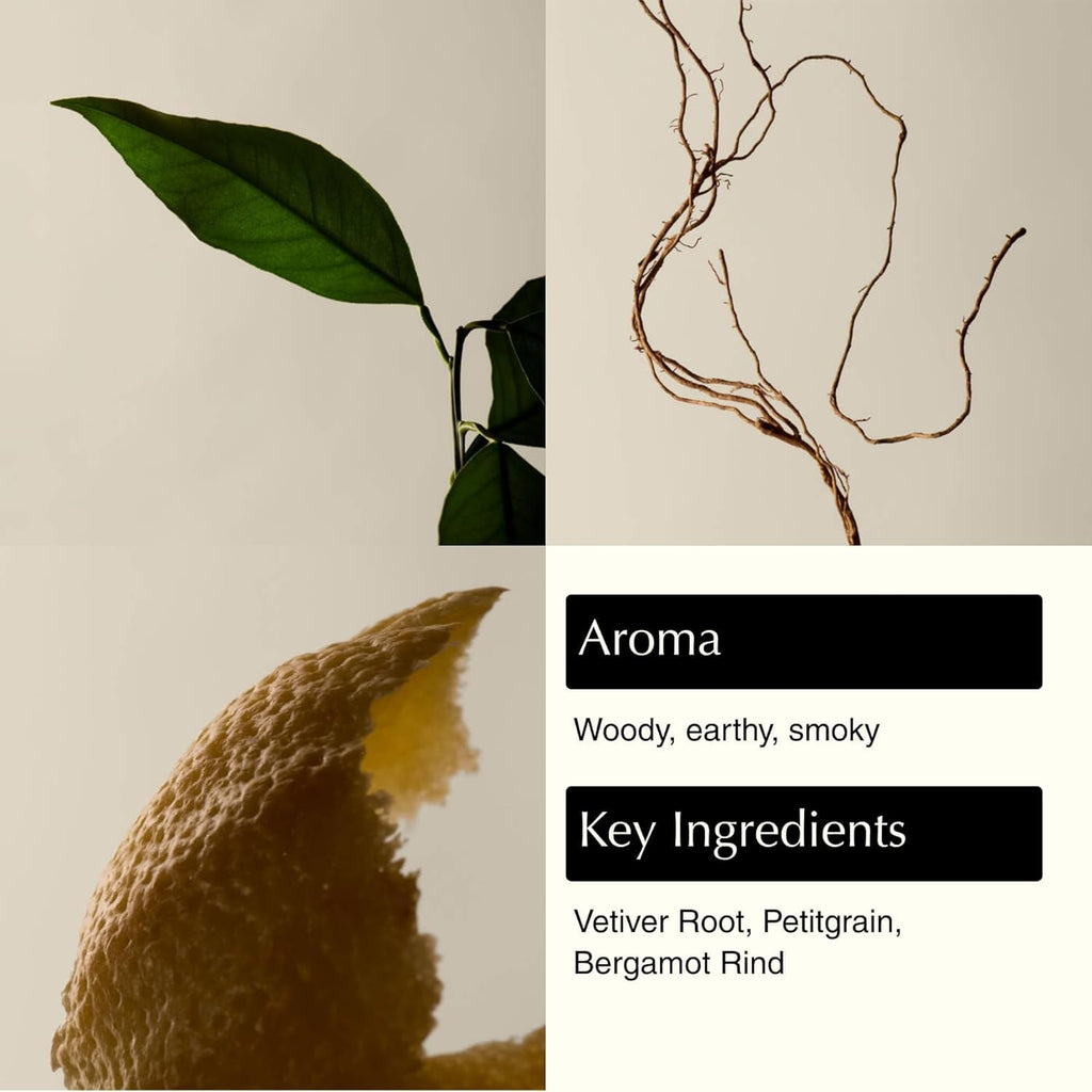 Aesop Reverence Aromatique Exfoliating Hand Wash | Exfoliating Hand Soap with Finely Milled Pumice | Gentle Cleanser & Skin-Smoothing Formula with Vetiver, Petitgrain & Bergamot | 500mL / 16.9 oz