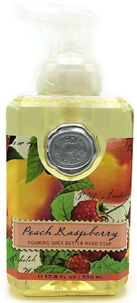 Michel Design Works Honey Almond Foaming Hand Soap with Soap Dispenser