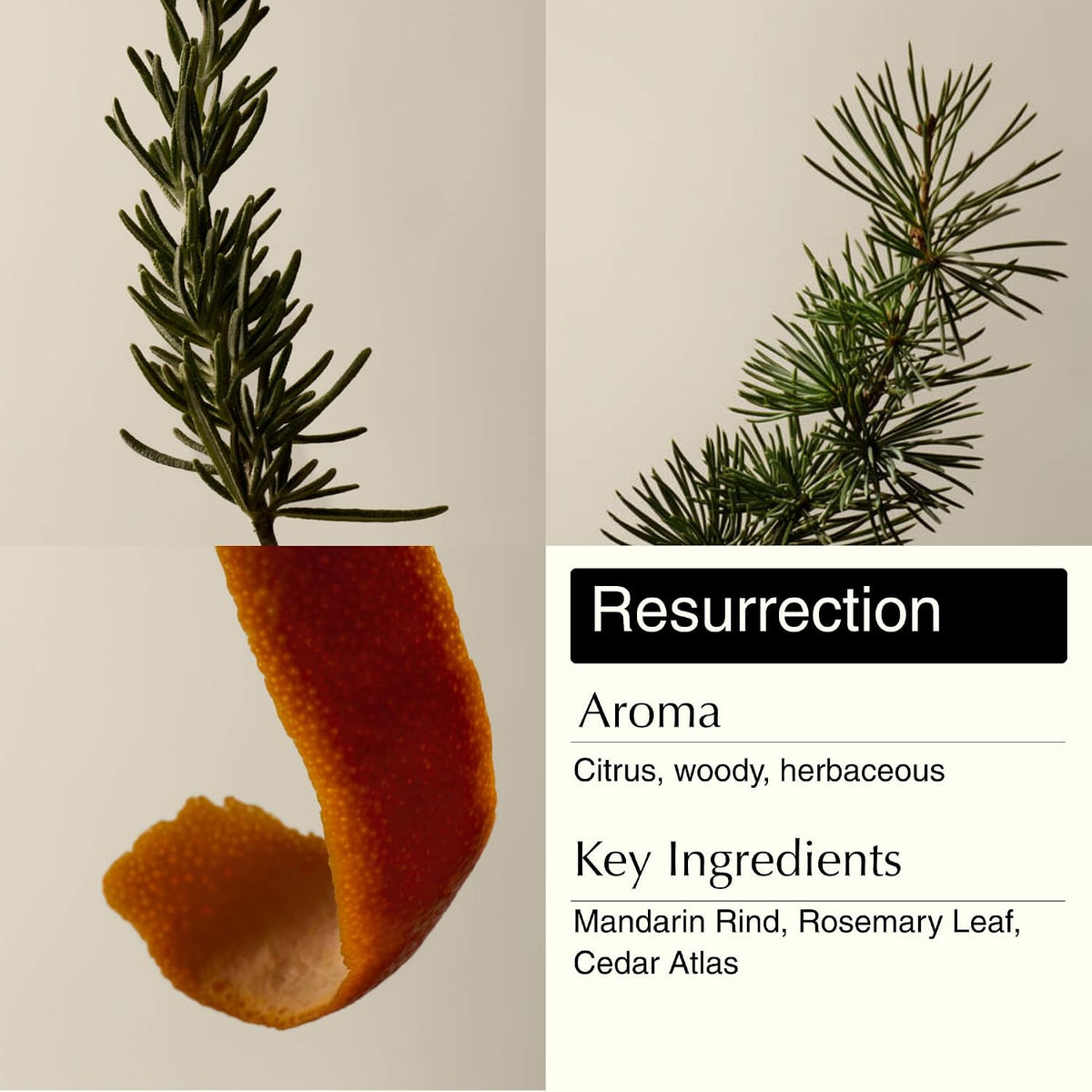 Aesop Resurrection & Reverence Aromatique Hand Wash Set – Nourishing Hand Wash & Gentle Exfoliating Hand Soap Duo | Botanical Cleansers Made with Hydrating Essential Oil Blend | 16.9 oz Each (2 Pack)