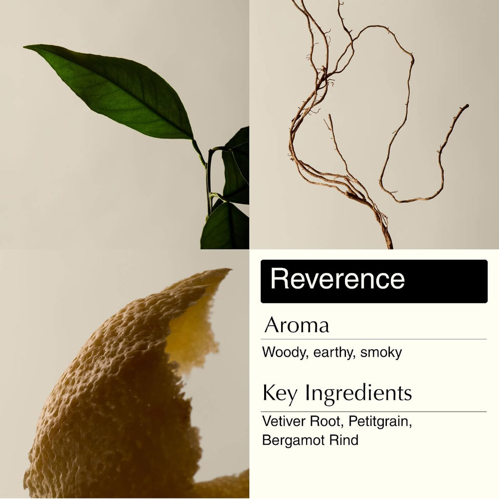 Aesop Resurrection & Reverence Aromatique Hand Wash Set – Nourishing Hand Wash & Gentle Exfoliating Hand Soap Duo | Botanical Cleansers Made with Hydrating Essential Oil Blend | 16.9 oz Each (2 Pack)