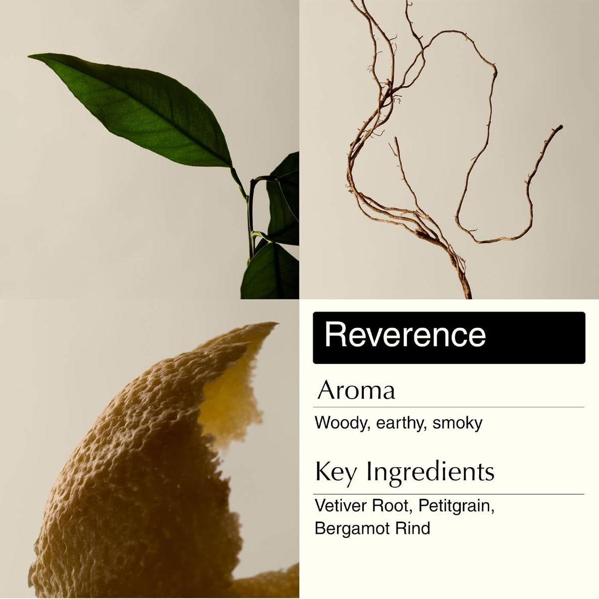 Aesop Resurrection & Reverence Aromatique Hand Wash Set – Nourishing Hand Wash & Gentle Exfoliating Hand Soap Duo | Botanical Cleansers Made with Hydrating Essential Oil Blend | 16.9 oz Each (2 Pack)
