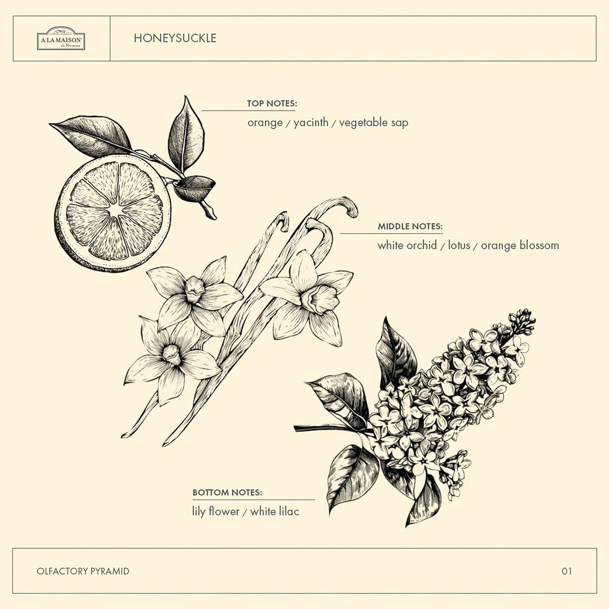 A LA MAISON Honeysuckle French Liquid Hand Soap - Natural Hand Wash Made with Essential Oils - Biodegradable, Plant-Based, Vegan, Cruelty-Free, Alcohol & Paraben Free (16.9 oz, 3 Pack)