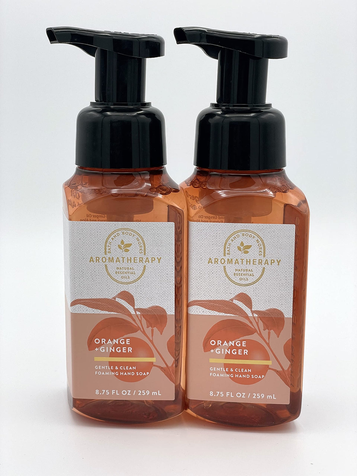 Bath and Body Works Gentle Foaming Hand Soap Kitchen Basics - Cozy Vanilla Almond, Crisp Morning Air, Mahogany Teakwood, Champagne Toast, White Tea and Sage, 8.75, Pack of 5