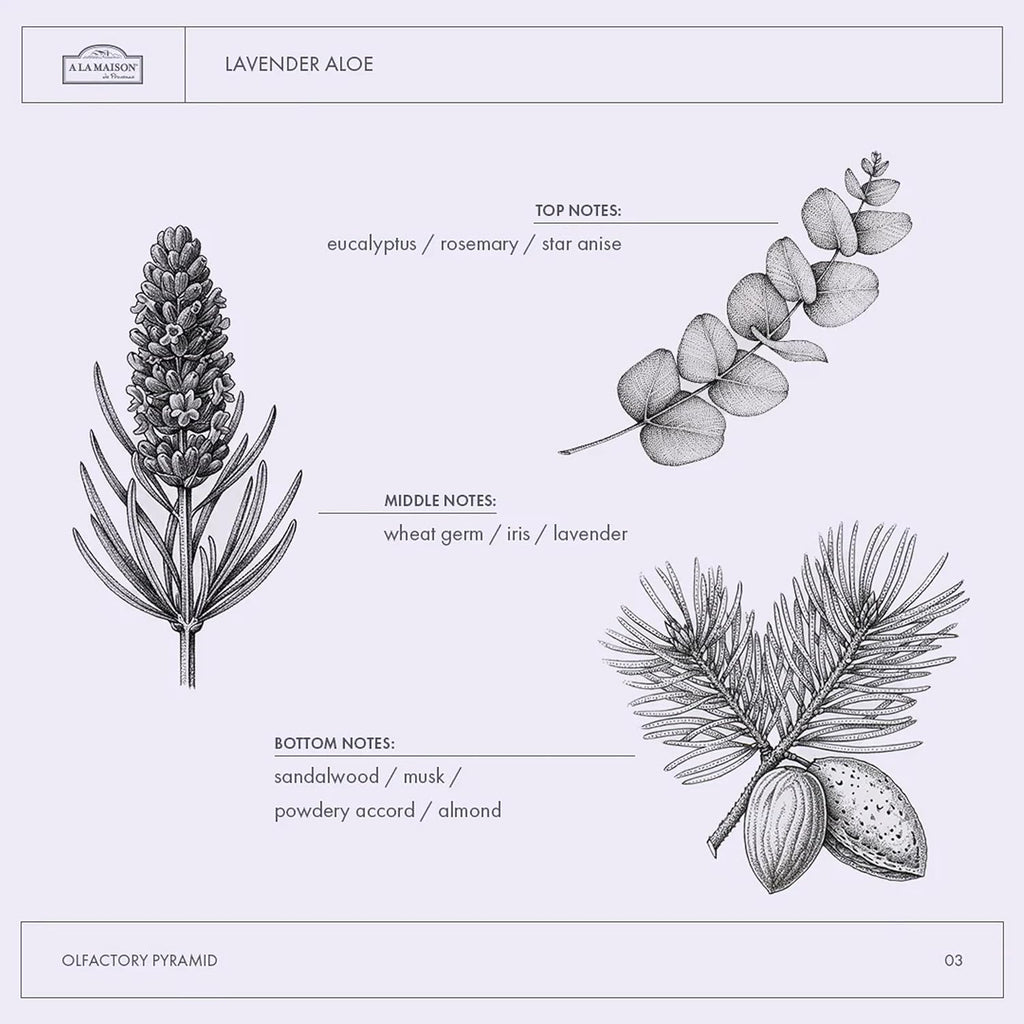 A LA MAISON Lavender Aloe French Liquid Hand Soap - Natural Hand Wash Made with Essential Oils - Biodegradable, Plant-Based, Vegan, Cruelty-Free, Alcohol & Paraben Free (16.9 oz, 3 Pack)