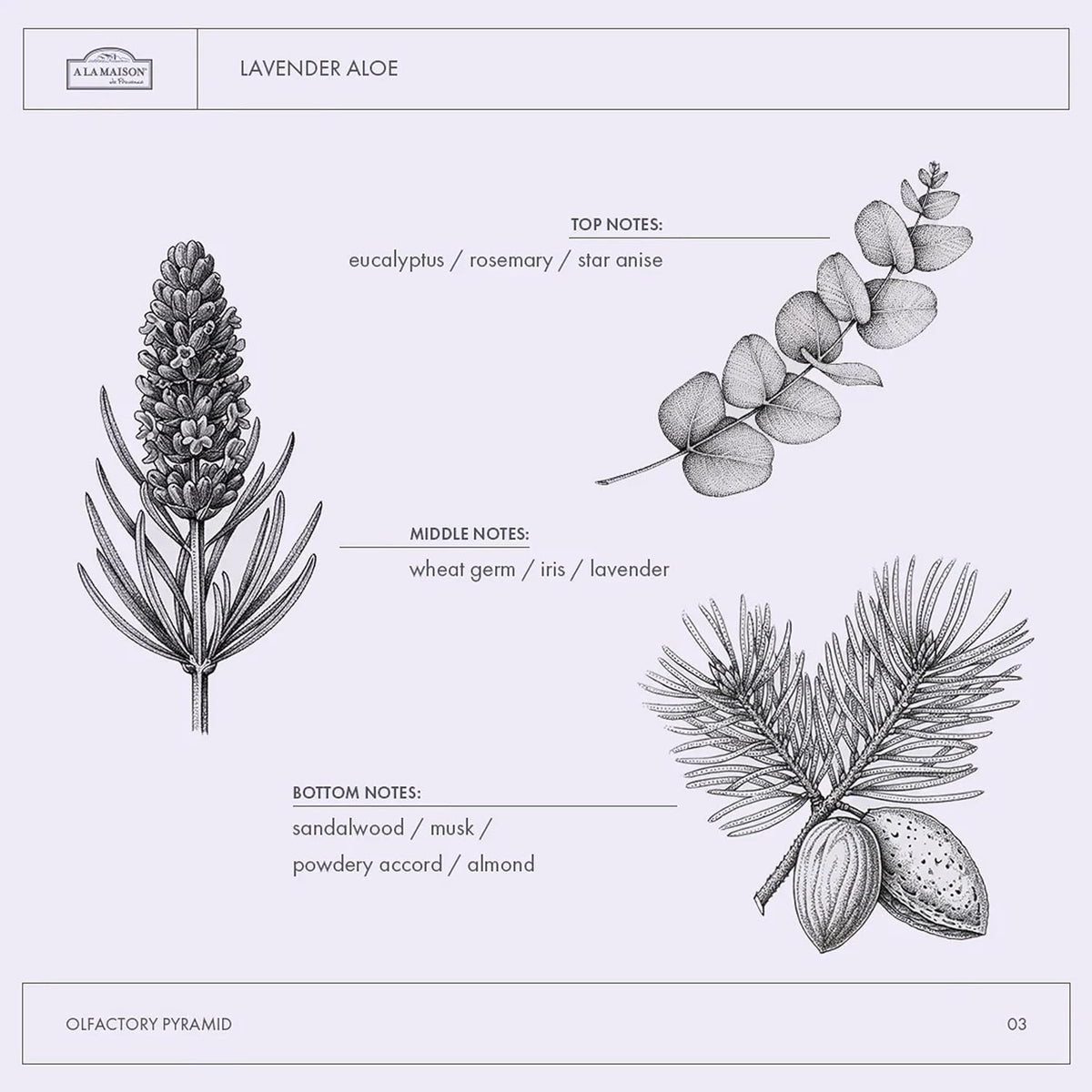 A LA MAISON Lavender Aloe French Liquid Hand Soap - Natural Hand Wash Made with Essential Oils - Biodegradable, Plant-Based, Vegan, Cruelty-Free, Alcohol & Paraben Free (16.9 oz, 3 Pack)