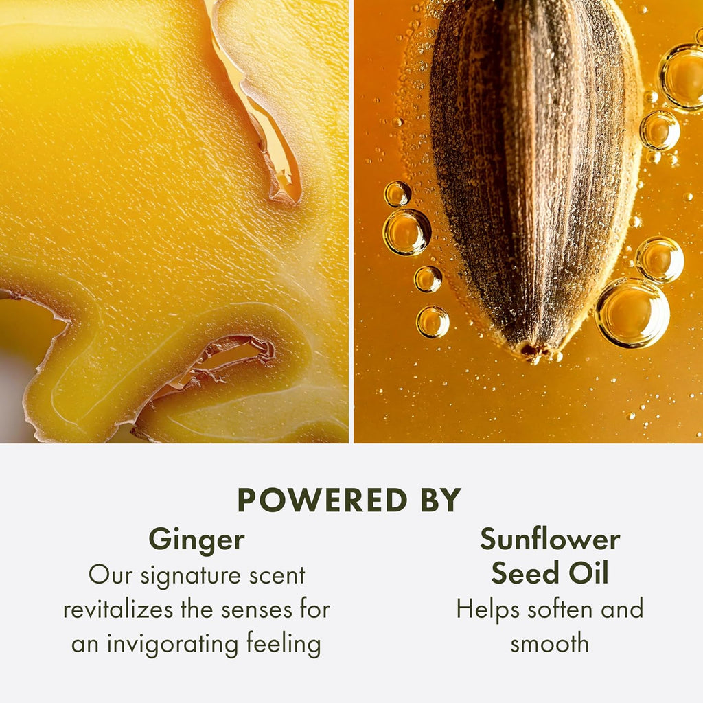 Origins Ginger Hand & Body Lotion for Dry Skin | Hydrates & Softens | With Vitamin E & Aloe Vera