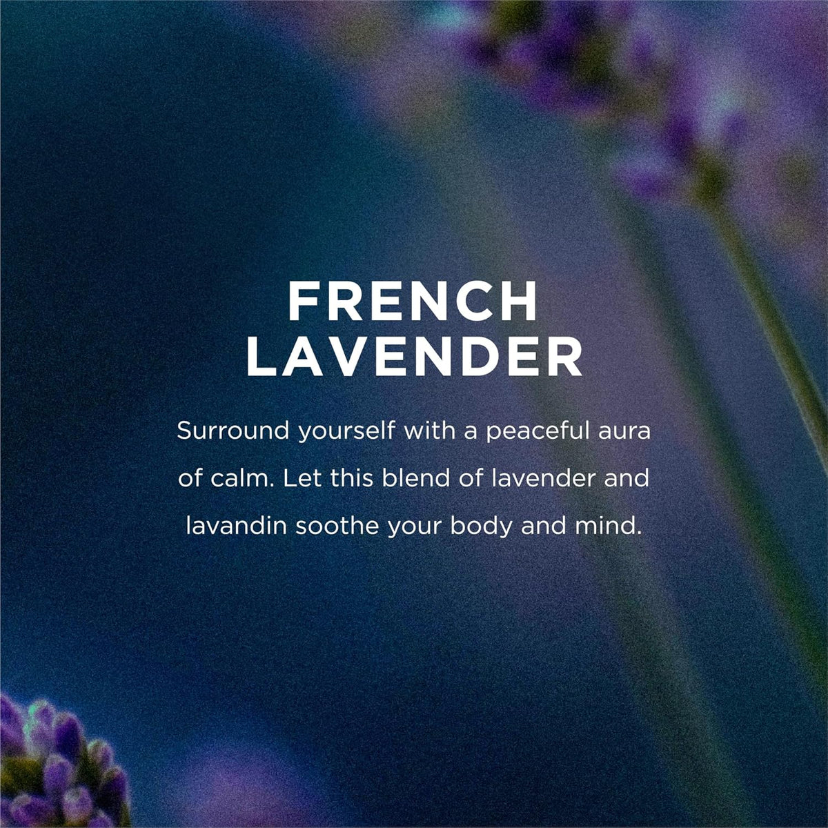 EO Liquid Hand Soap, French Lavender, 12 oz, 3-Pack